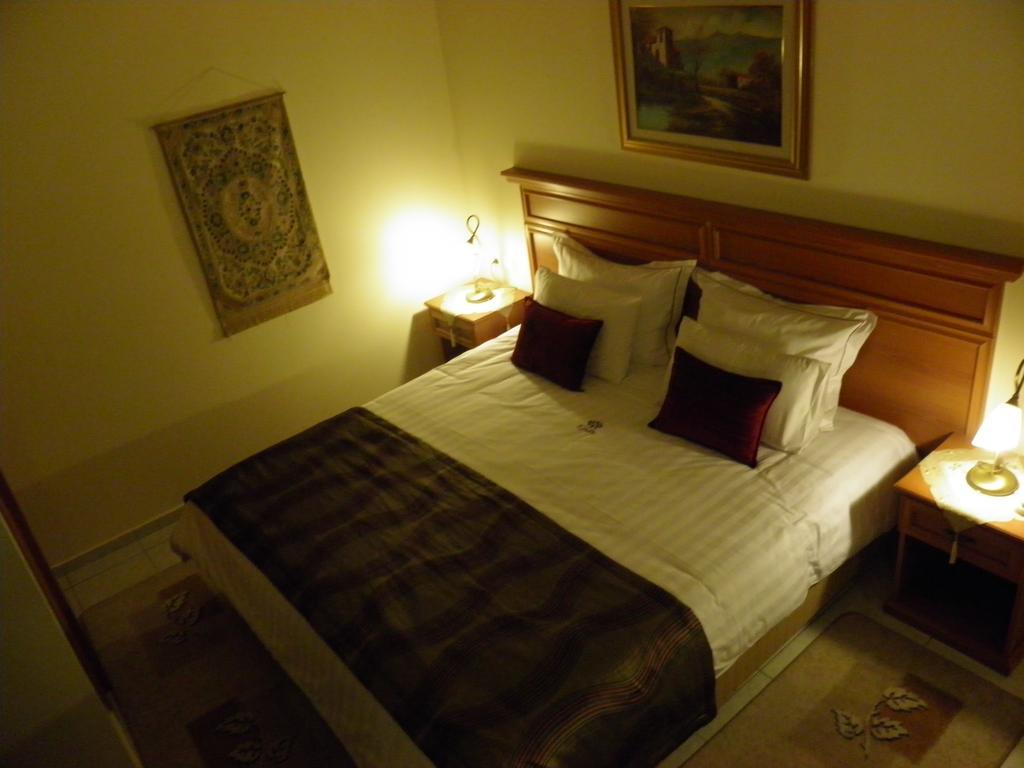 Egnatia Hotell Ioánnina Rom bilde